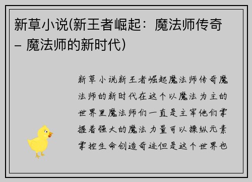 新草小说(新王者崛起：魔法师传奇 - 魔法师的新时代)
